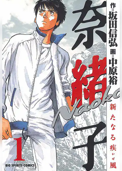 奈緒子 新たなる疾風