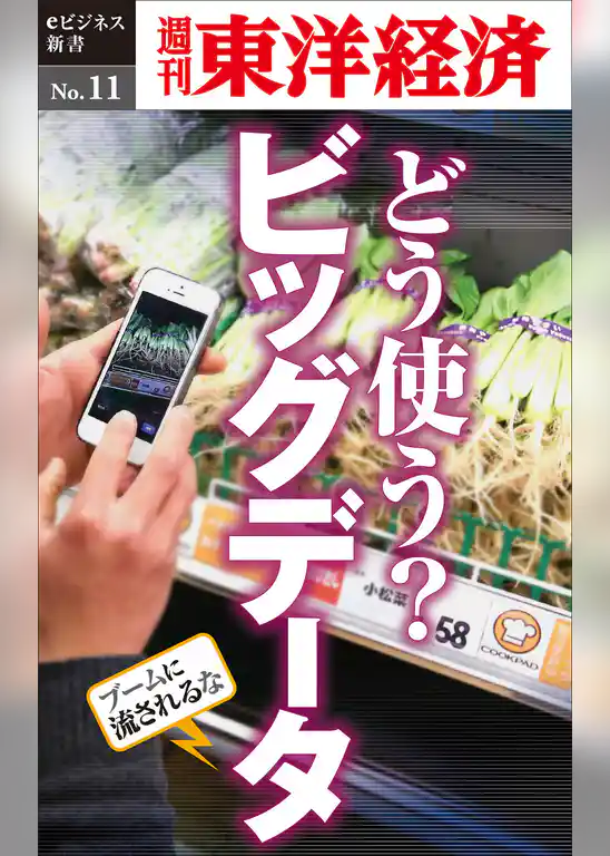 どう使う？ビッグデータ―週刊東洋経済eビジネス新書No.11