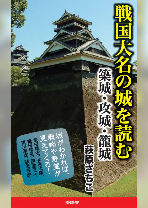 戦国大名の城を読む　築城・攻城・籠城