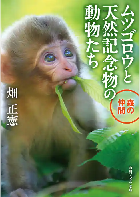 ムツゴロウと天然記念物の動物たち　森の仲間