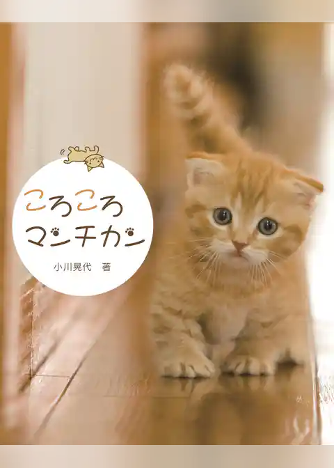 ころころマンチカン