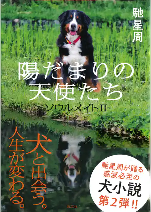 ソウルメイト【電子特別版】