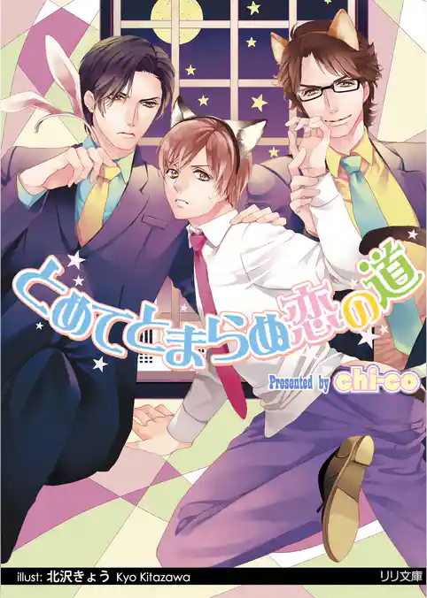 とめてとまらぬ恋の道