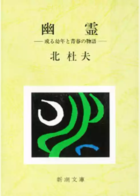 幽霊―或る幼年と青春の物語―