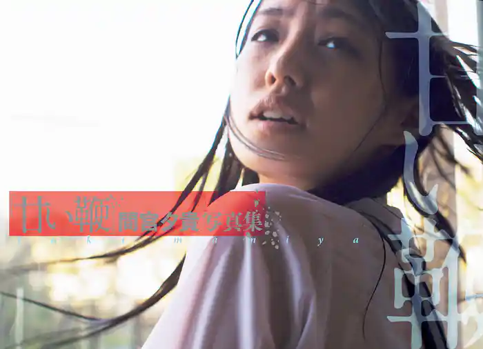 「甘い鞭」間宮夕貴写真集