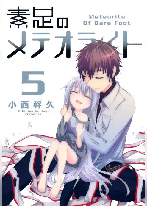 素足のメテオライト