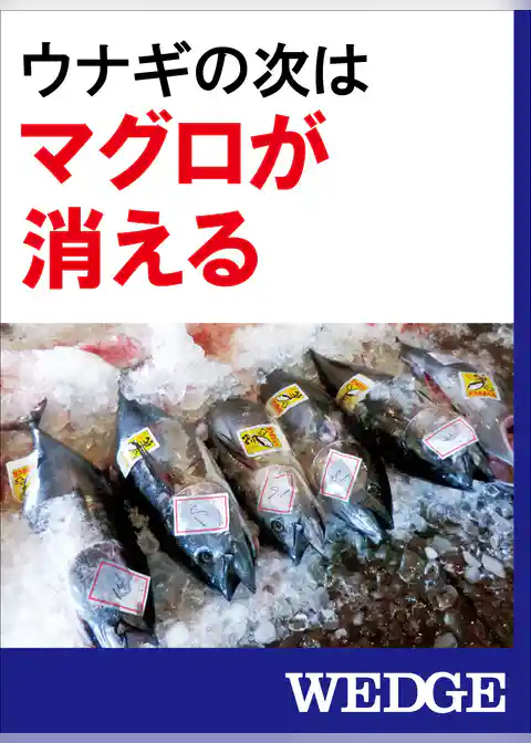 ウナギの次はマグロが消える
