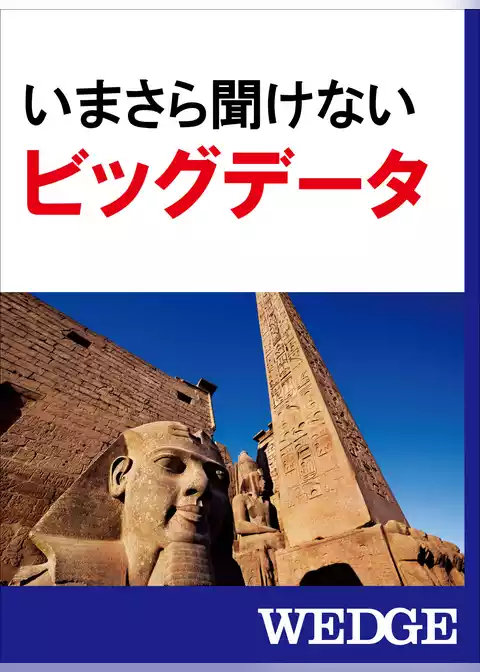 いまさら聞けないビッグデータ