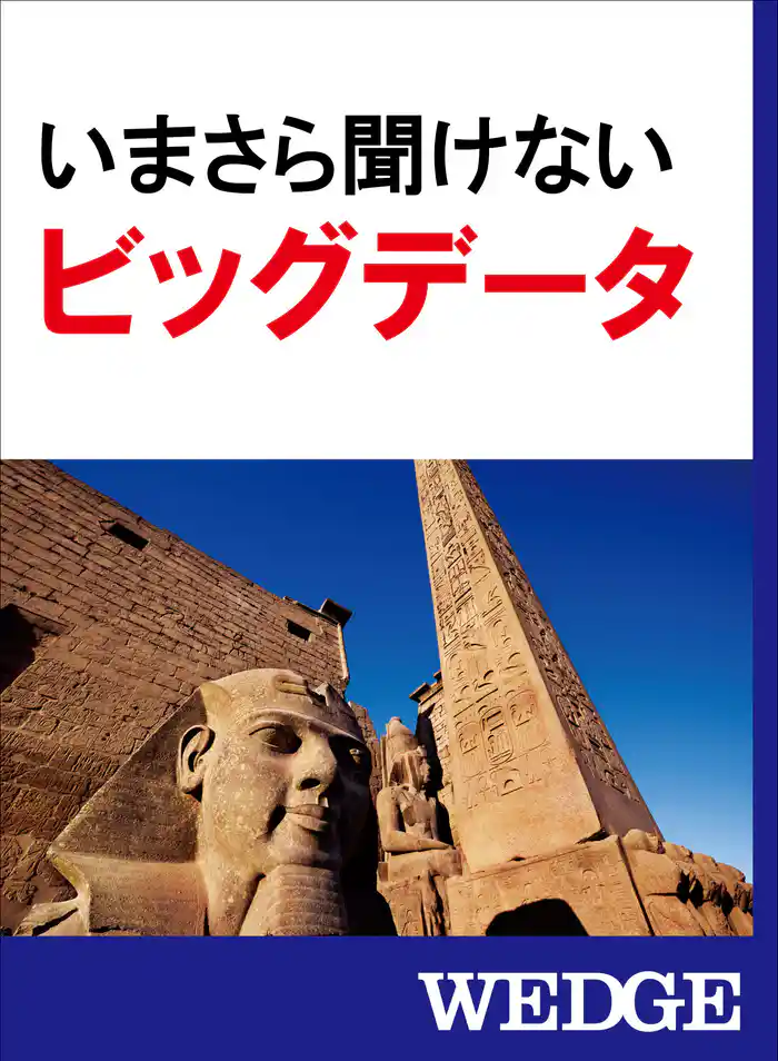 いまさら聞けないビッグデータ