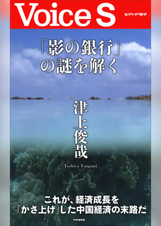「影の銀行」の謎を解く 【Voice S】