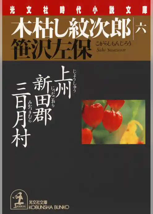 木枯し紋次郎（六）～上州新田郡三日月村～