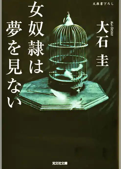 女奴隷は夢を見ない