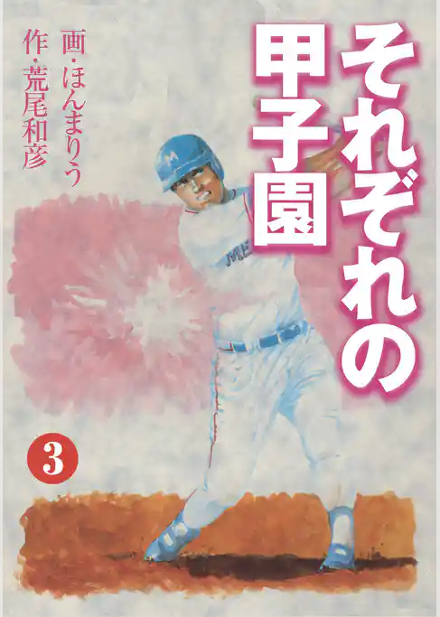 それぞれの甲子園