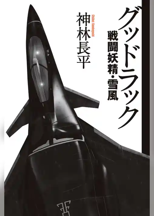 グッドラック　戦闘妖精・雪風