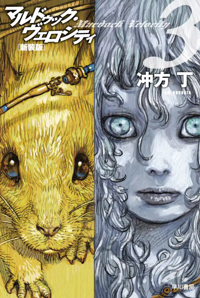 マルドゥック・ヴェロシティ３　新装版