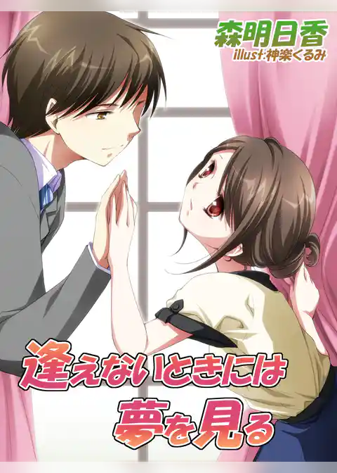 逢えないときには夢を見る