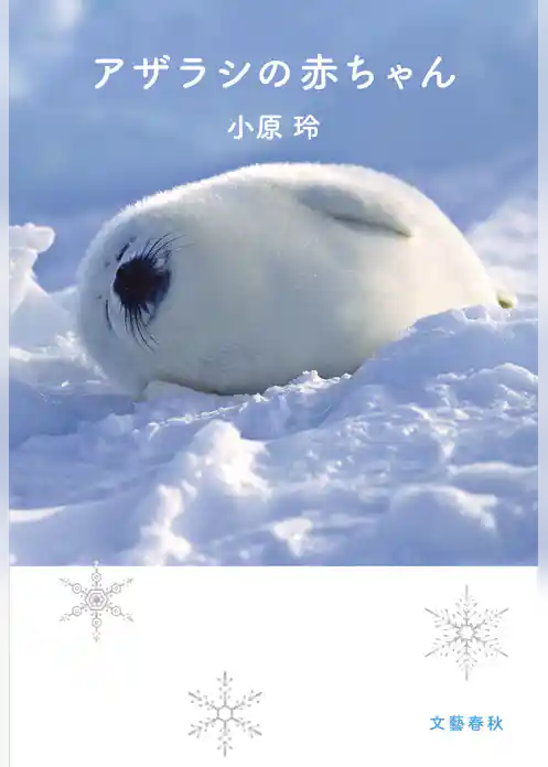 アザラシの赤ちゃん