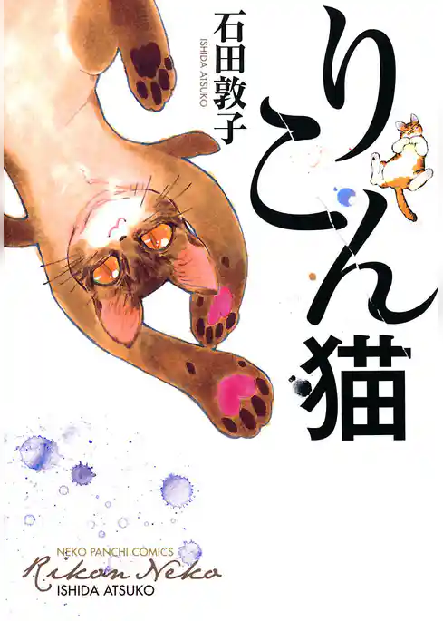 りこん猫