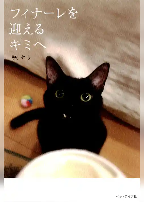 フィナーレを迎えるキミへ