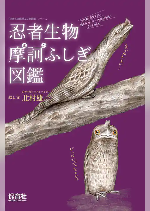 忍者生物摩訶ふしぎ図鑑