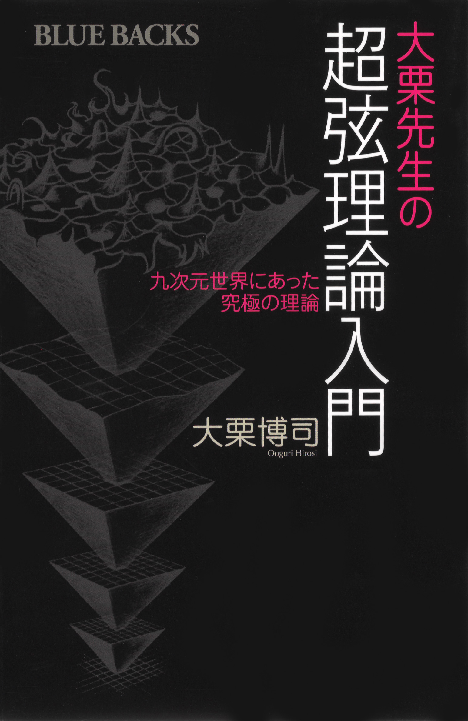 大栗先生の超弦理論入門(書籍) - 電子書籍 | U-NEXT 初回600円分無料