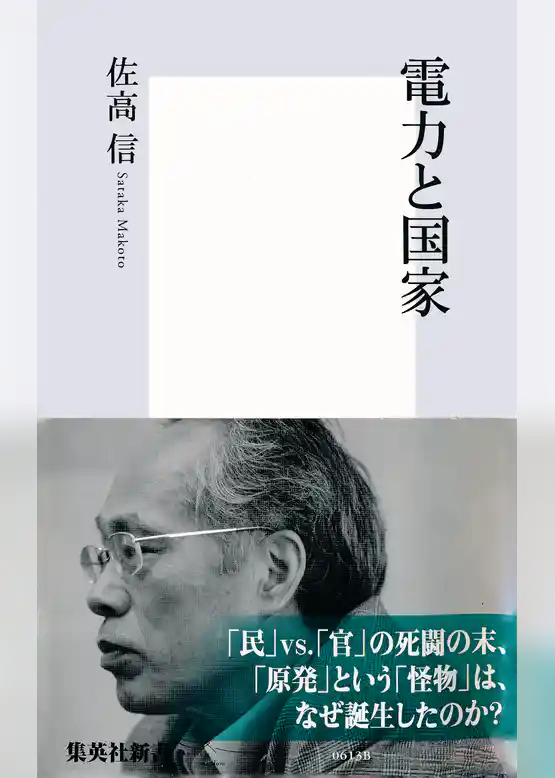 電力と国家