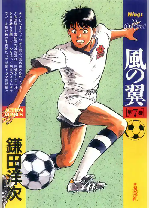 風の翼 Wings on the Wind