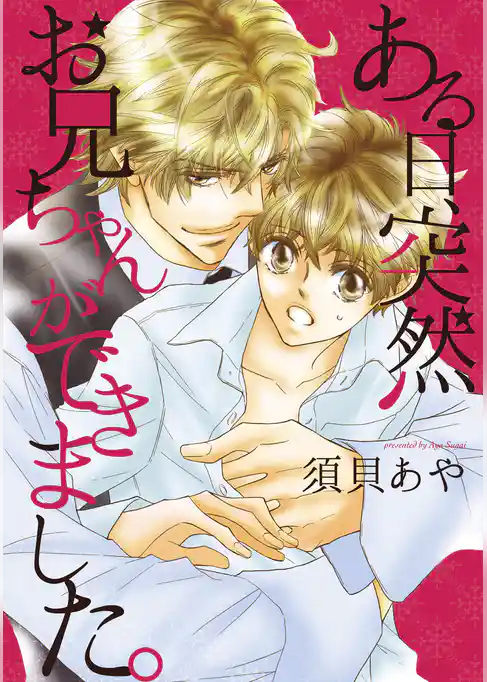 ある日、突然お兄ちゃんができました。