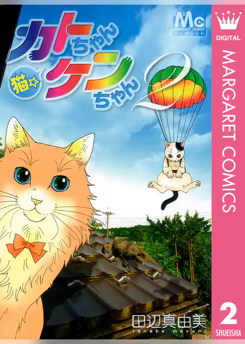 猫☆カトちゃんケンちゃん