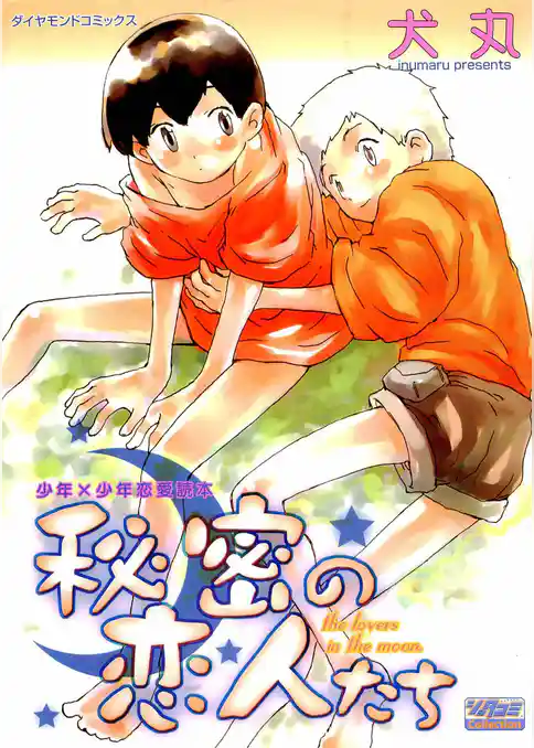 秘密の恋人たち