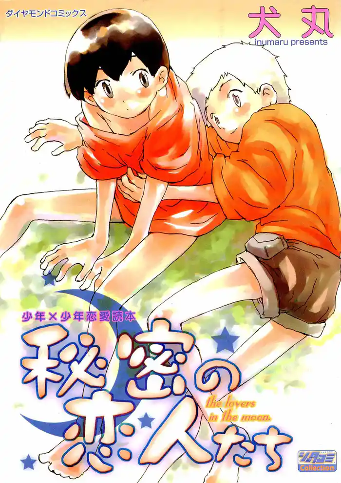 秘密の恋人たち