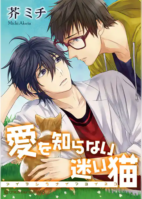 愛を知らない迷い猫