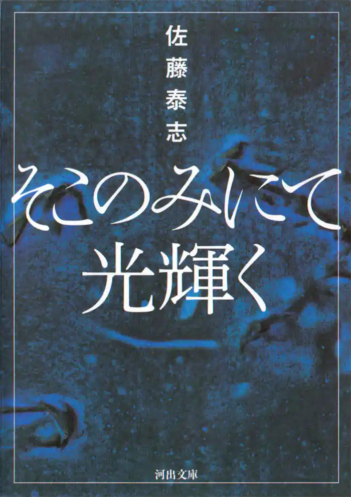 そこのみにて光輝く