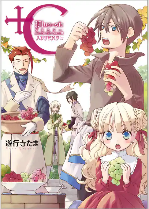 +C sword and cornett APPENDix