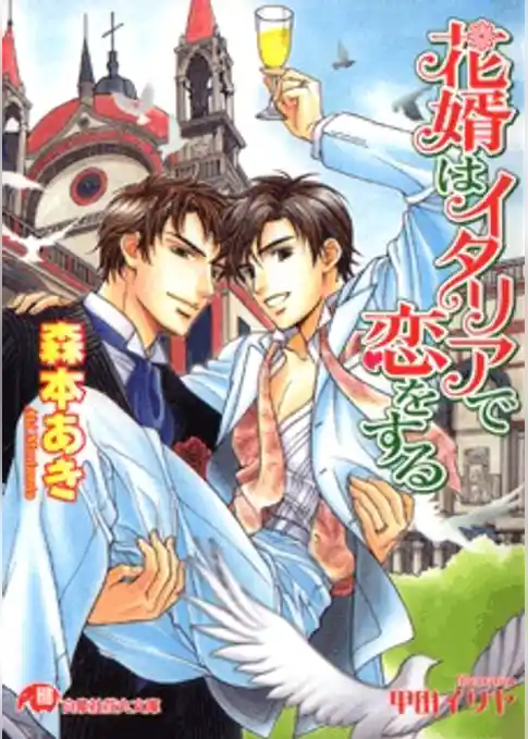 花婿はイタリアで恋をする