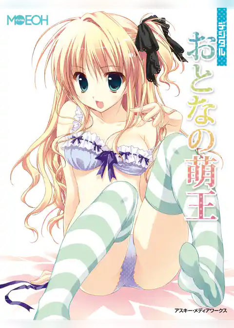 デジタルＭＯＥＯＨ　『デジタルおとなの萌王』