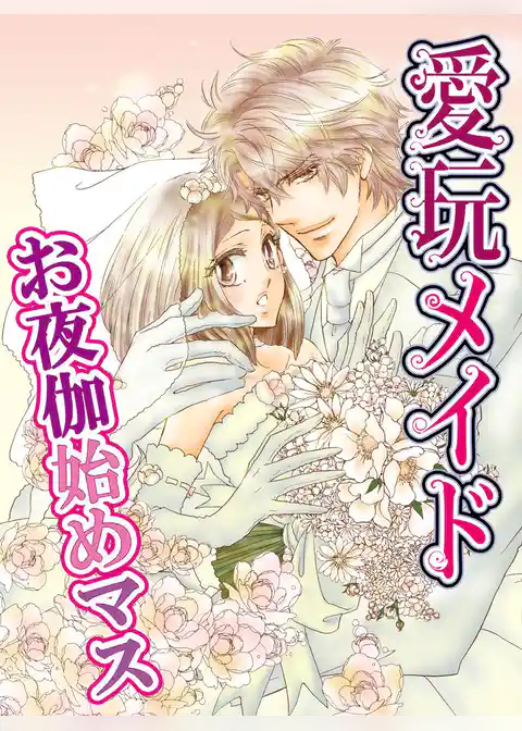 愛玩メイド-お夜伽始めマス