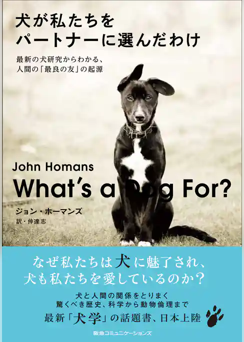 犬が私たちをパートナーに選んだわけ