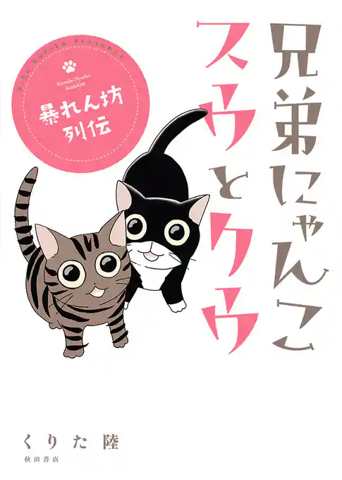 兄弟にゃんこ　スウとクウ