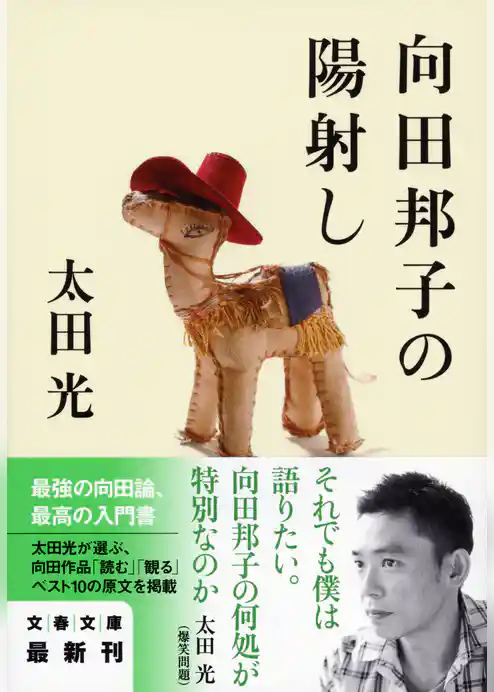 向田邦子の陽射し