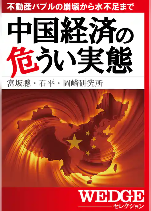 中国経済の危うい実態（WEDGEセレクション No.22）