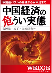 中国経済の危うい実態（WEDGEセレクション No.22）