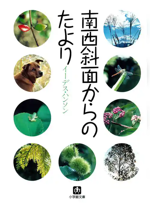 南西斜面からのたより（小学館文庫）