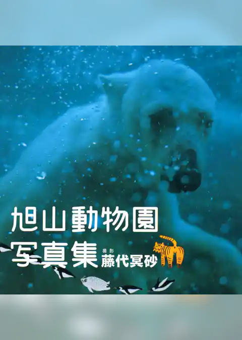 旭山動物園写真集
