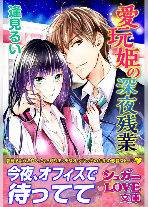 愛玩姫の深夜残業