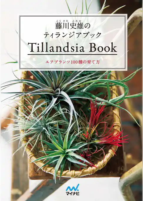 藤川史雄のティランジアブック　エアプランツ100種の育て方