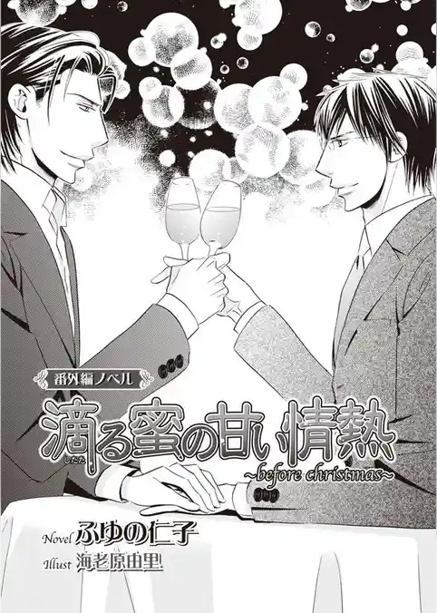 滴る蜜の甘い情熱　～before christmas～
