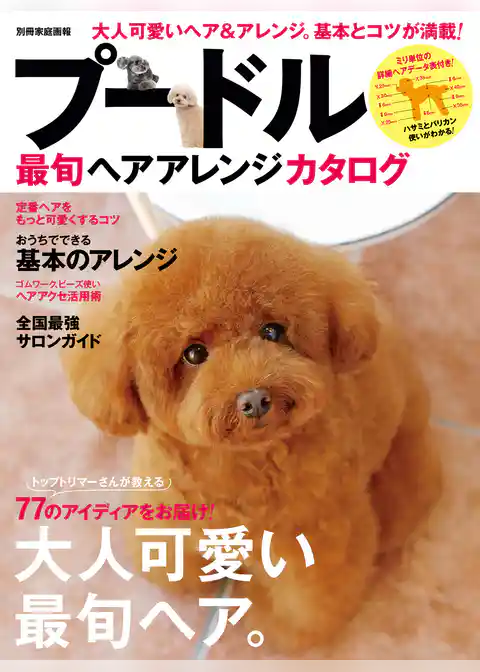 プードル最旬ヘアアレンジカタログ