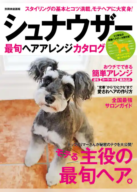 シュナウザー最旬ヘアアレンジカタログ