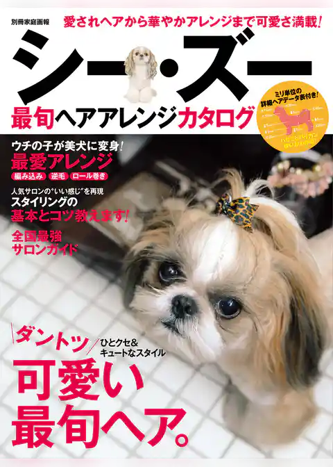 シー・ズー最旬ヘアアレンジカタログ